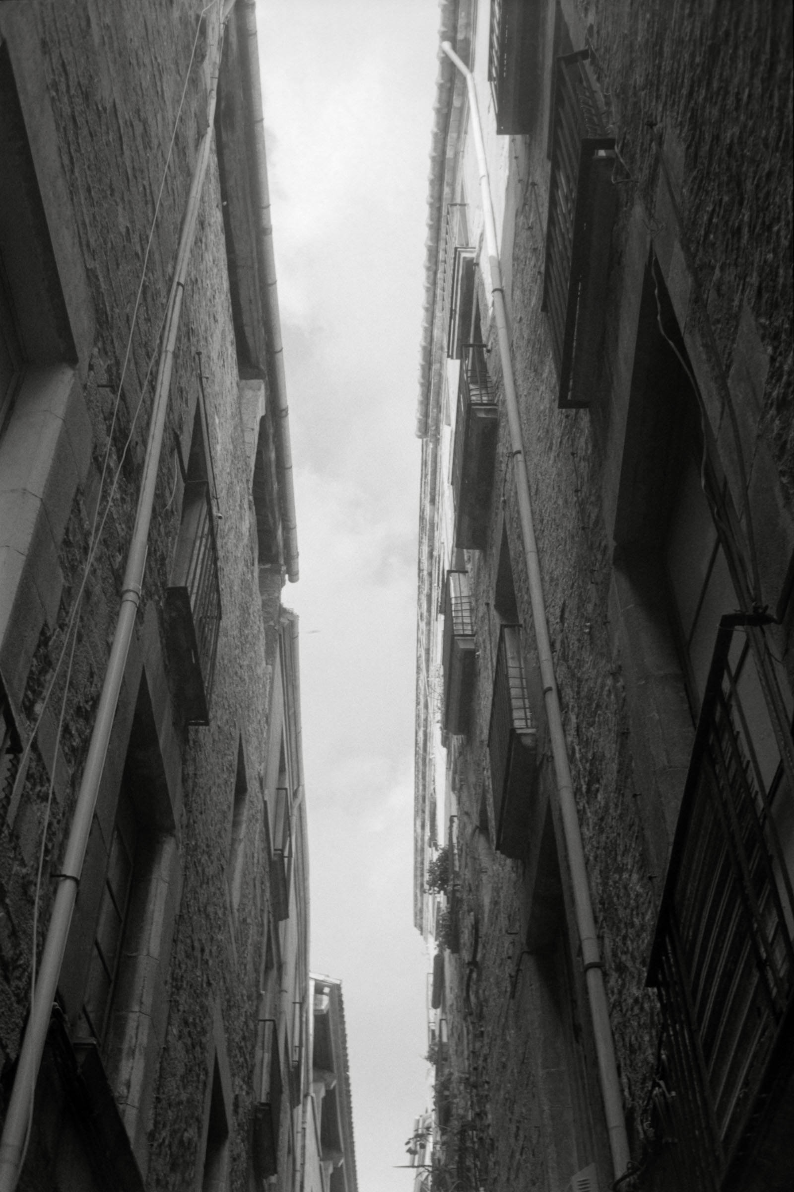 AHP F1996 02 001 sc240816 img18 NLP